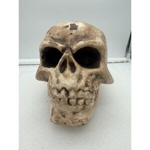 Plastic Faux Human Skull Halloween Decoration